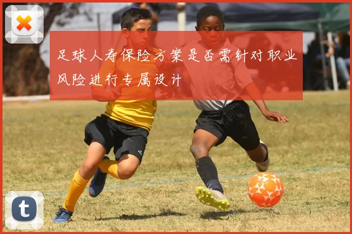 足球人寿保险方案是否需针对职业风险进行专属设计