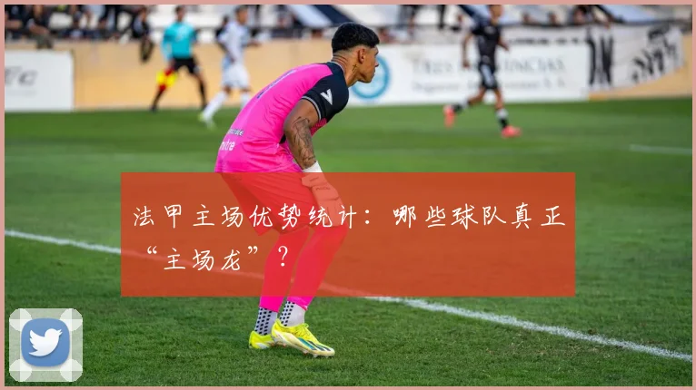 法甲主场优势统计：哪些球队真正“主场龙”？