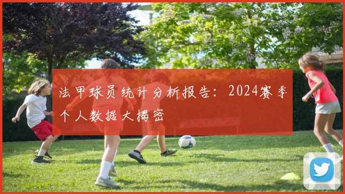 法甲球员统计分析报告：2024赛季个人数据大揭密