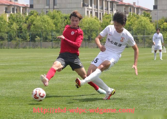 问鼎娱乐官方网站-意甲球队薪酬排名：意甲球队薪酬排名与高薪球员