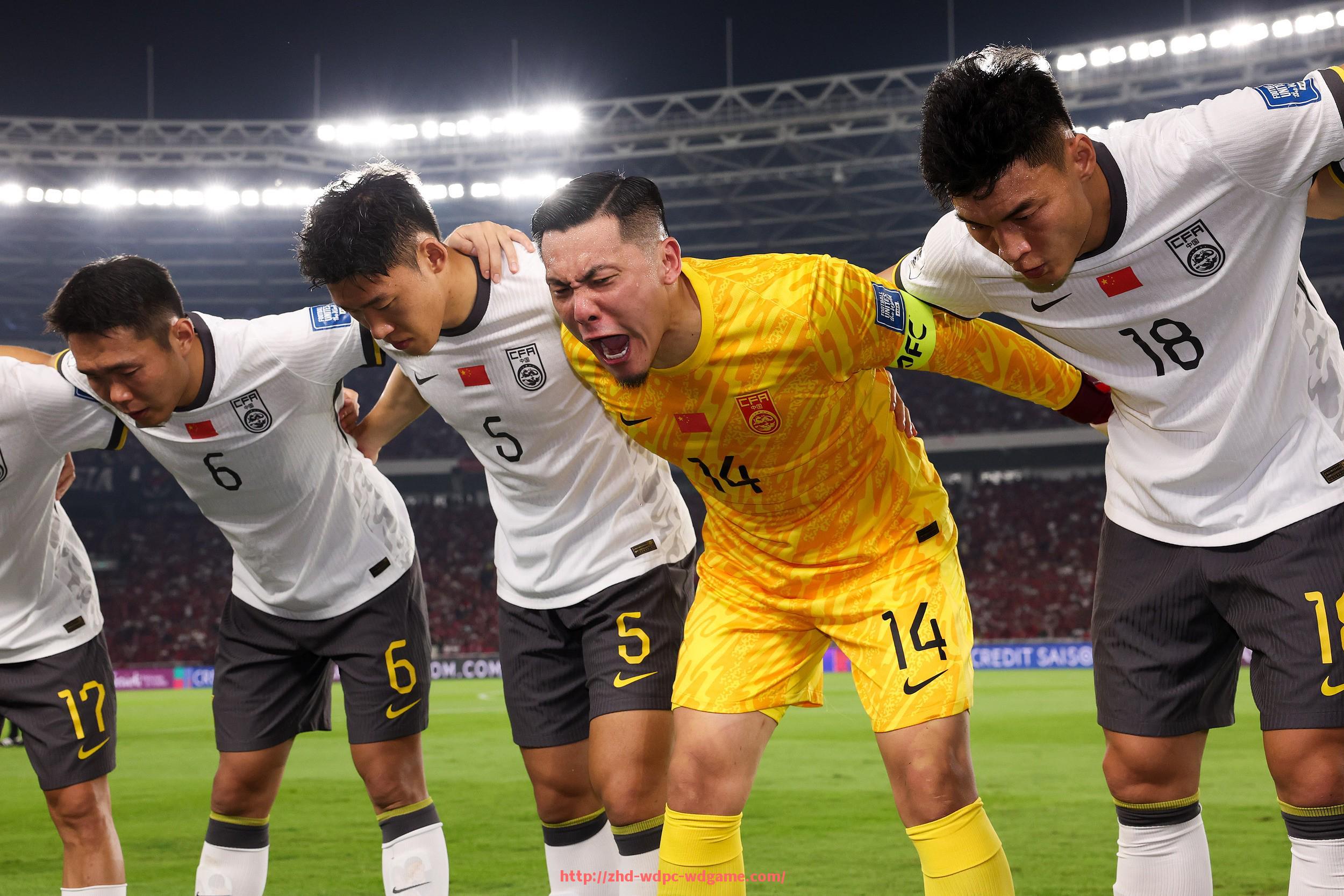 问鼎娱乐官方网站-法甲外籍球员比例及国籍分布数据分析